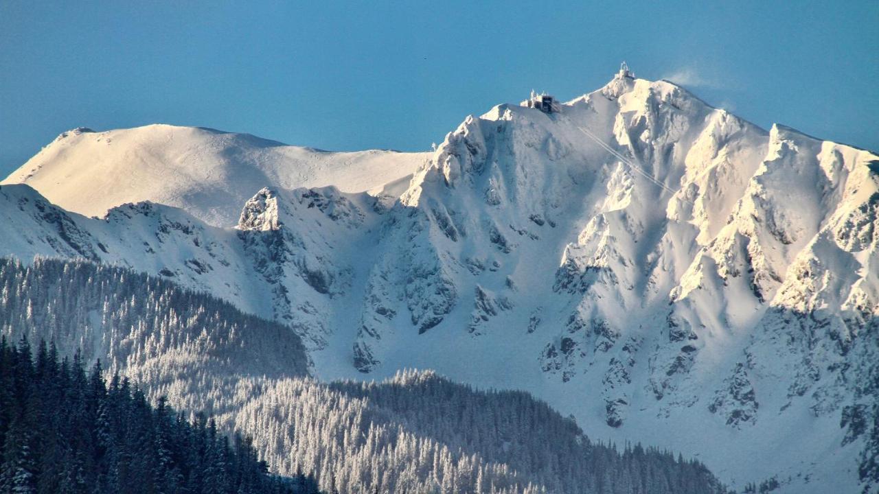 Apartament Crusoe Zakopane Zewnętrze zdjęcie